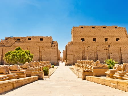 Visita al Tempio di Karnak - Tour di mezza giornata