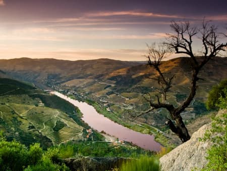 Besuch im Douro-Tal - Ganztagestour