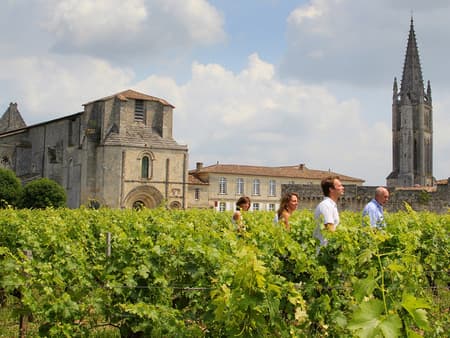 Tour del Vino Saint - Emilion