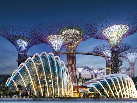 Entrada a Gardens by the Bay con traslado de ida