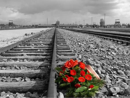 Visita guiada al Museo y Memorial de Auschwitz-Birkenau