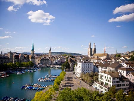 Combo: Rhine Falls and The Best of Zurich