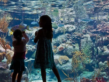 Xcaret Basic Admission