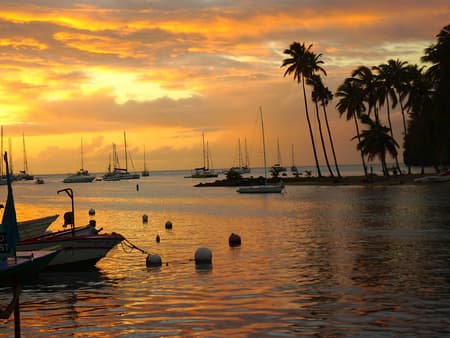 Tropical Sunset Cruise