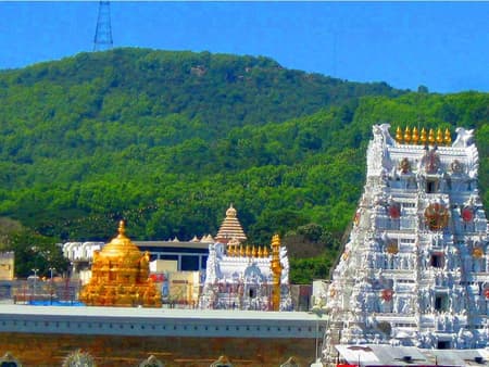 Excursion to Tirupati - Private Tour