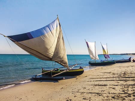 Foulpoint beach and city tour