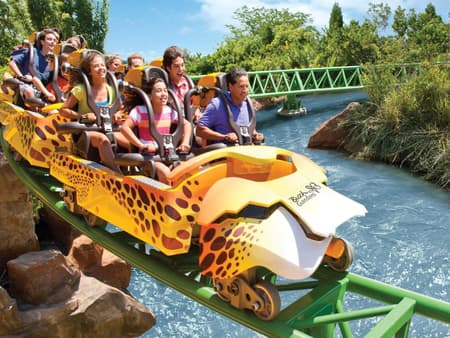 Busch Gardens Tampa