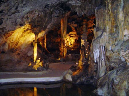 Struisvogelboerderij en Hato Grotten Tour 