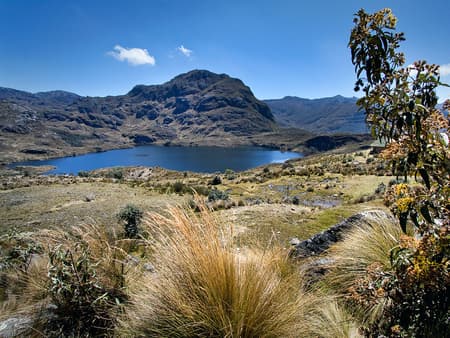 Half Day Private Tour to National Park of Cajas