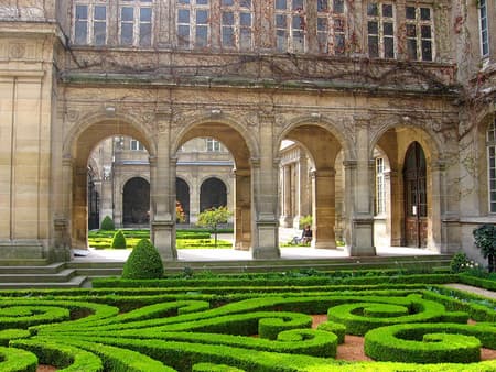 Lifestyle Around the Louvre