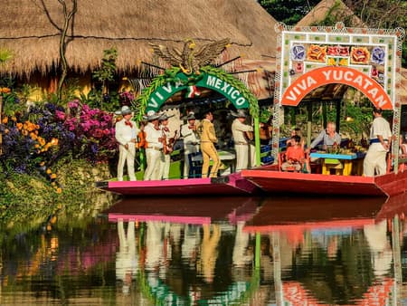 Tour Xoximilco con transporte