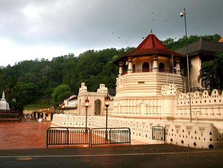 Discover Kandy City - Full-Day Tour