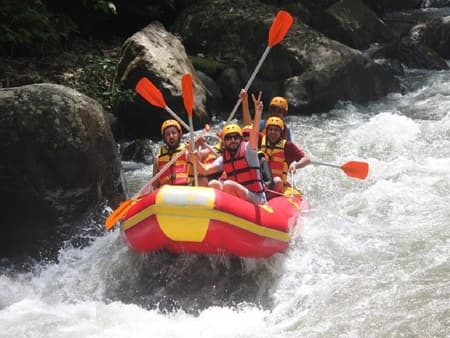 Ayung River Rafting - Small Group Tour