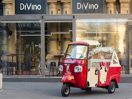 Private Romantic Budapest Tuk Tuk Tour