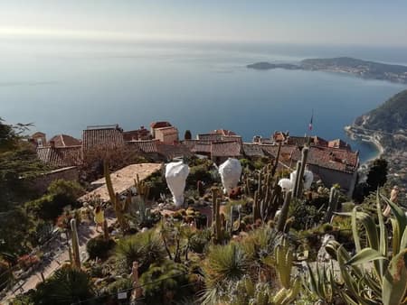 Tagesausflug nach Monaco, Monte Carlo und Eze - Durch Monaco und Dörfer der Provence