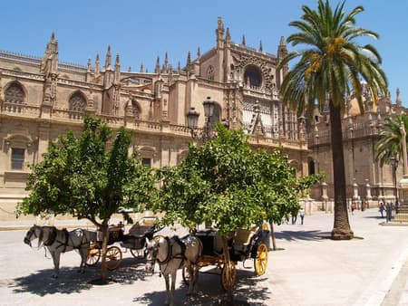 Combo Sevilla: Catedral, Giralda y el Real Alcázar
