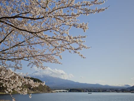 富士山、河口湖及忍野八海一日游
