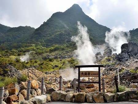 Hakone Fuji Day Tour: Cruise, Cable Car, and Volcano