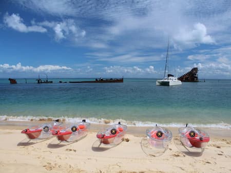 Moreton Island Get Wrecked - Full-Day Tour