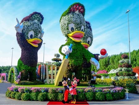 Visita al Dubai Miracle Garden - Entrada