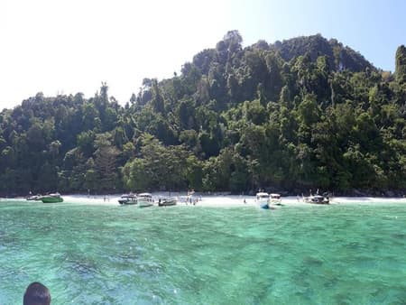 Phi Phi + Maya + Bamboo Island Tour by Speedboat