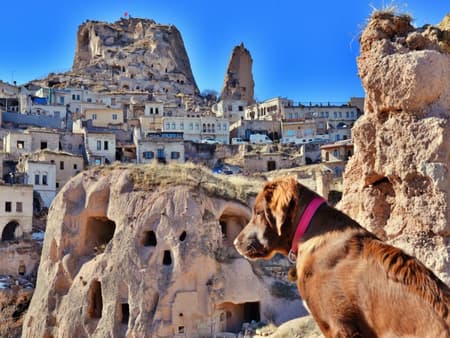 Heart of Cappadocia: Devrent, Goreme Museum & Pigeon Valley - Small Group