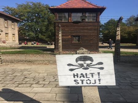 Excursión de un día completo a Auschwitz-Birkenau desde Varsovia en tren