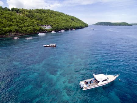 Snorkeling Experience with Manta Rays at Nusa Penida