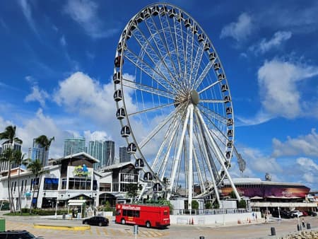 Miami City - Half-Day Bus Tour with Optional South Beach Cruise