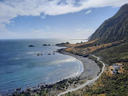 Wine and Wild Coast - Small Group Tour