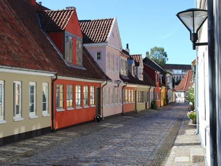 Lo mejor de la ciudad de Odense - Tour privado a pie