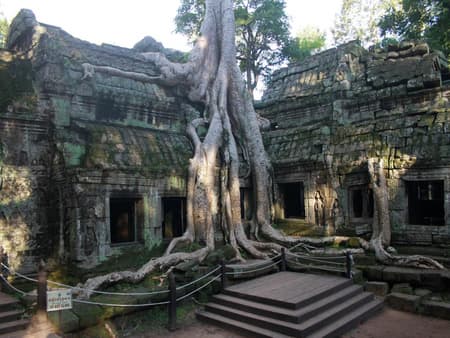 Discover Angkor by Tuk Tuk - Full-Day Private Tour