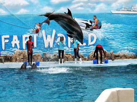 Safari World Bangkok with Marine Park and International Lunch - Full-Day Tour with Hotel transfer
