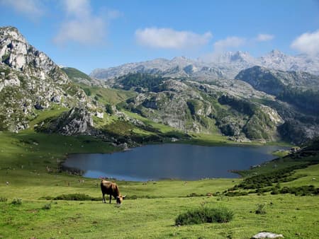 Discover Covadonga Lakes and Cangas de Onís from Oviedo, Gijón and Cangas - Full-Day Tour