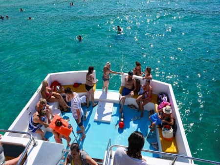 Blue Lagoon Cruise with Botanical Garden, Wine Tasting and Banana Plantation Visit