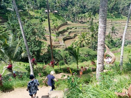 Traditional Villages, Ubud and Kintamani - Full-Day Tour