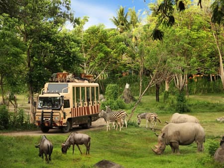 Bali Safari Park: Jungle Hopper Package