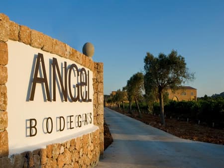 Visite Bodegas Angel com Degustação de Vinho e Paella 