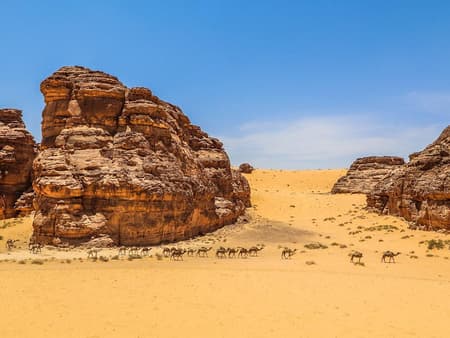 Visita Hegra con traslado opcional