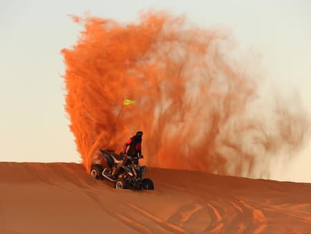 Morning Safari and Quad Bike Tour