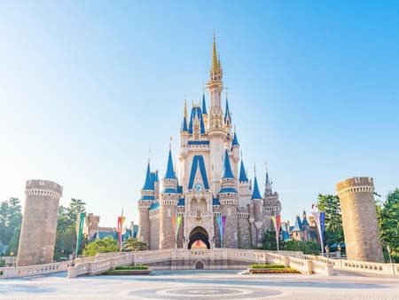 Tokyo DisneyLand Park 1-Day Ticket and Private Transfer Opcional