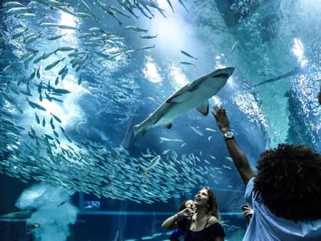 AquaRio Tickets with Transfer