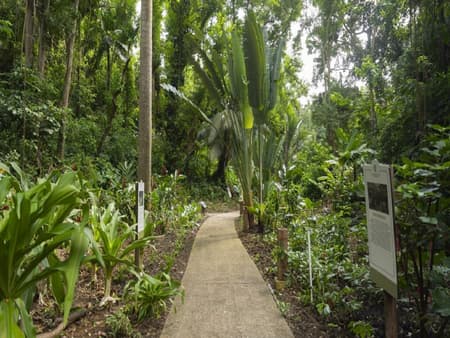 Barbados Craft, Cave & Nature Adventure - Halbtages-Tour