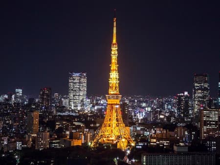 Tokyo Tower Main Deck y Tokyo Subway Combo Ticket de 24 horas