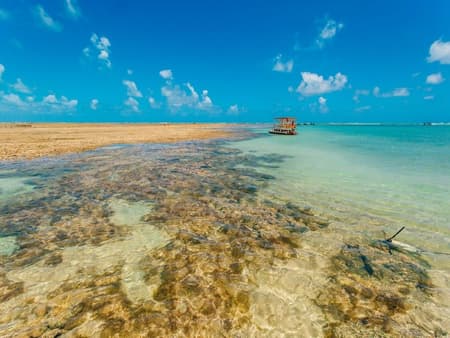 Passeio à Praia do Patacho - Tour de dia inteiro