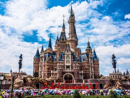 Servicio de traslado privado a Tokyo Disneyland