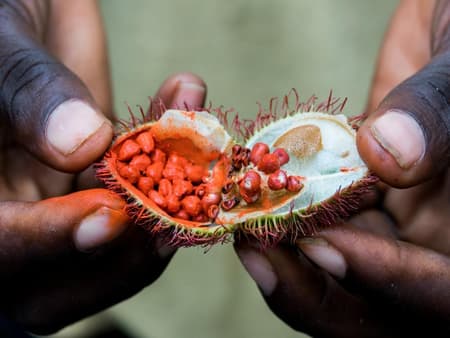 Ontdek de smaken van Zanzibar - Halve dag privé specerijenboerderijtour