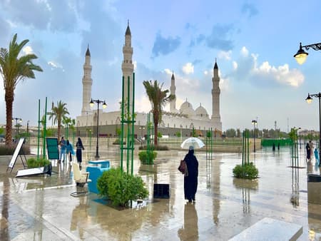 Experience UHud - Half-Day Tour