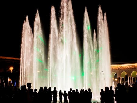 Circuito Mágico del Agua - Visita guiada con cena