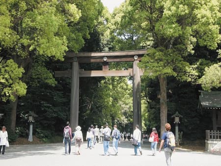 Explore Tokyo by Hato Panoramic Bus - Full-Day Tour 